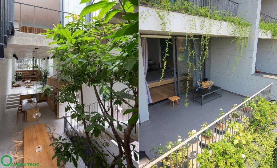 Môi trường thân thiện với kiến trúc